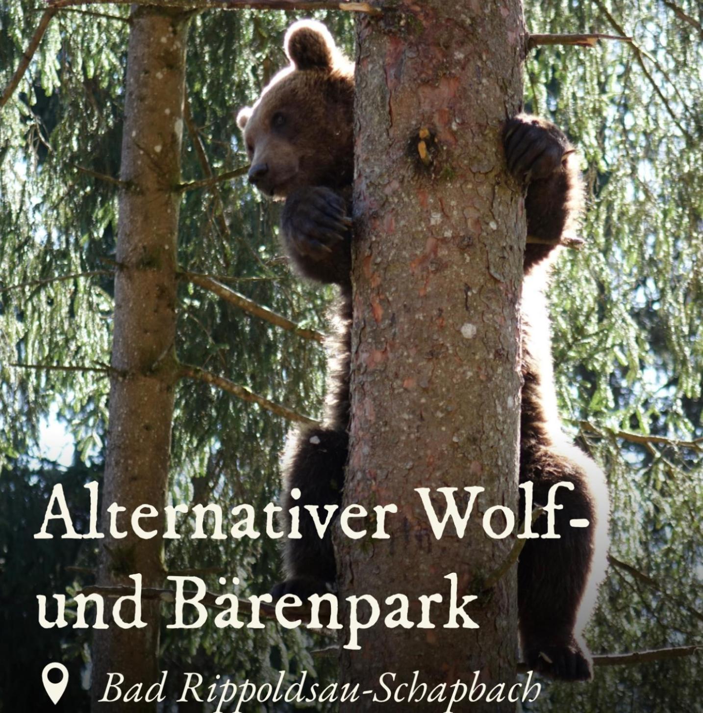 Ferienwohnung Schwarzwald Tannenzaepfle Baiersbronn Zewnętrze zdjęcie