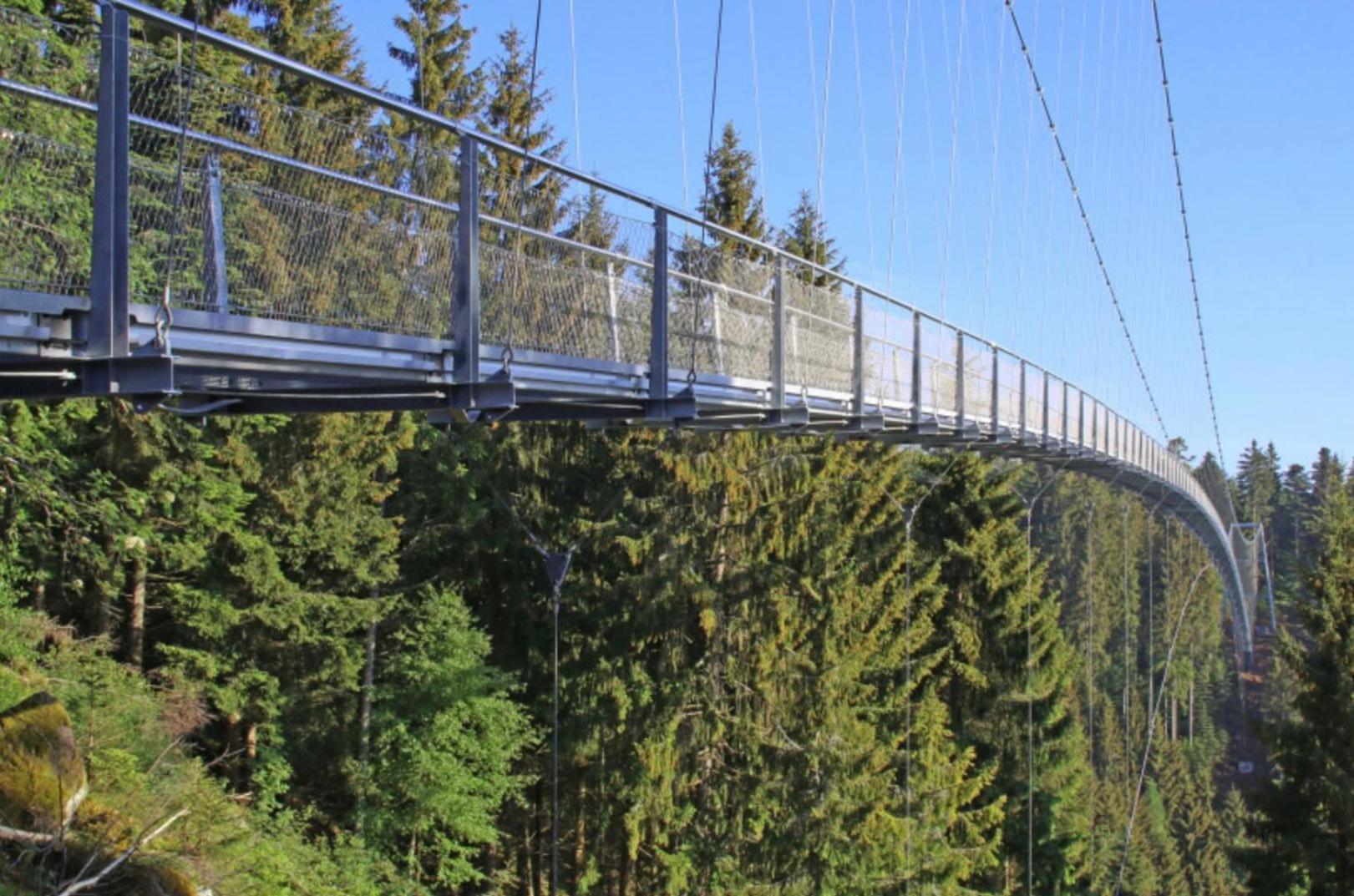Ferienwohnung Schwarzwald Tannenzaepfle Baiersbronn Zewnętrze zdjęcie