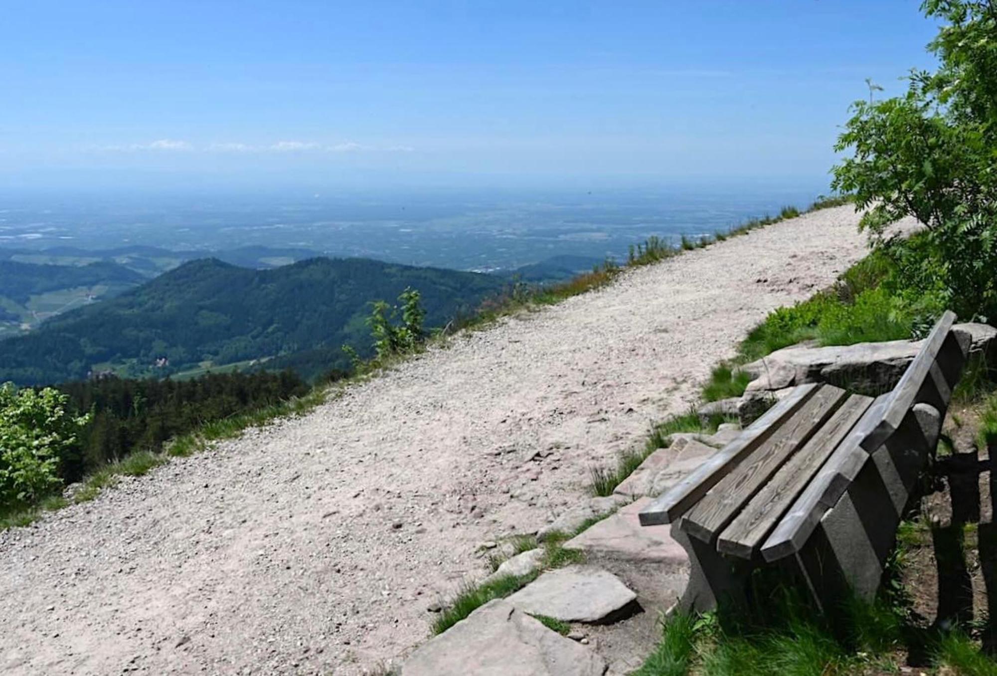 Ferienwohnung Schwarzwald Tannenzaepfle Baiersbronn Zewnętrze zdjęcie